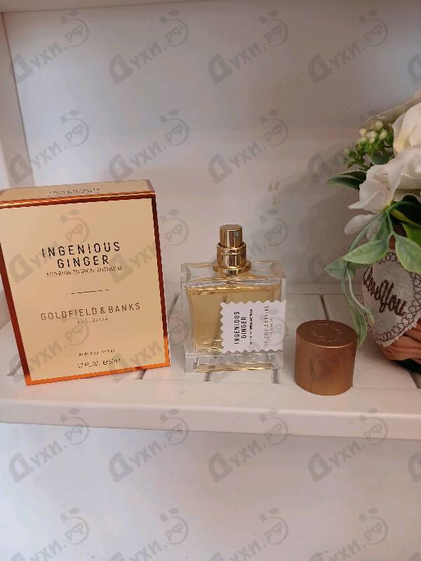 Парфюмерия Ingenious Ginger от Goldfield & Banks Australia