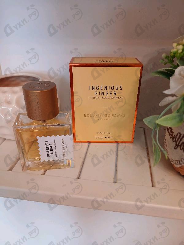 Купить Ingenious Ginger от Goldfield & Banks Australia