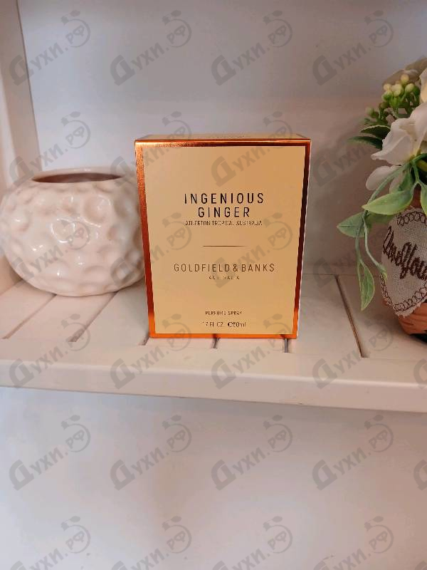 Парфюмерия Goldfield & Banks Australia Ingenious Ginger