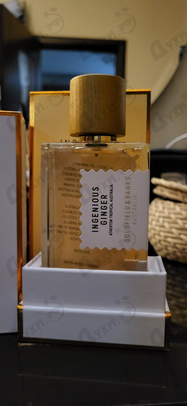 Купить Ingenious Ginger от Goldfield & Banks Australia Отзыв Goldfield & Banks Australia Ingenious Ginger