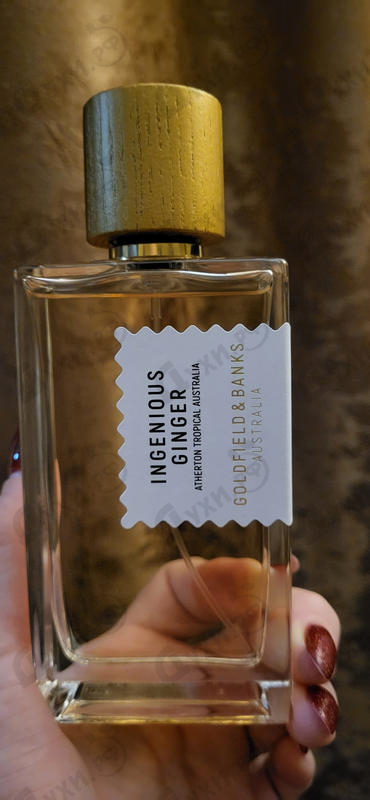 Парфюмерия Ingenious Ginger от Goldfield & Banks Australia