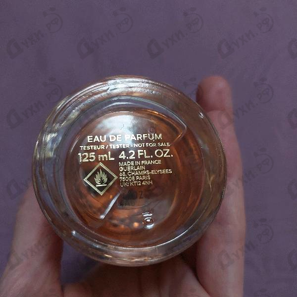 Отзыв Guerlain Aqua Allegoria Forte Rosa Rossa