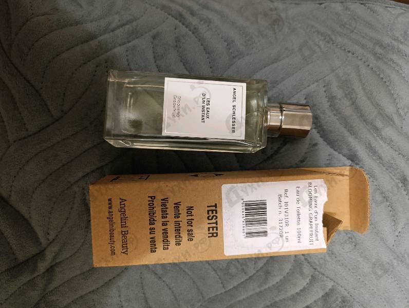 Купить Blooming Grapefruit от Angel Schlesser