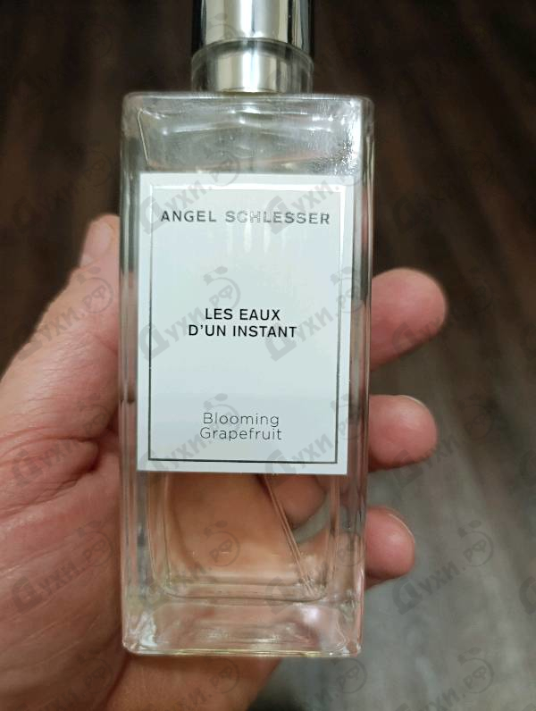 Купить Blooming Grapefruit от Angel Schlesser