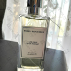 Парфюм Angel Schlesser Blooming Grapefruit