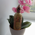 Парфюмерия Fleur De Santal от Attar Collection Отзыв Attar Collection Fleur De Santal