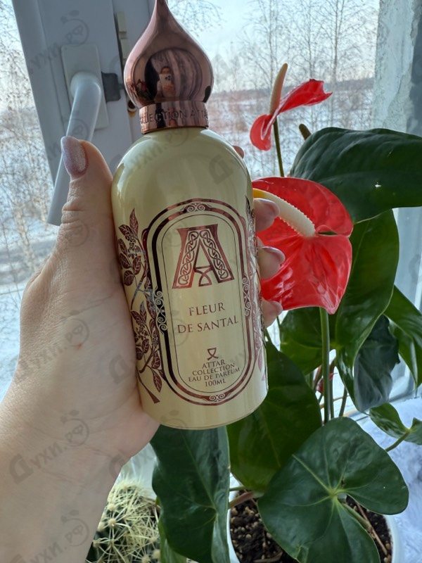 Купить Fleur De Santal от Attar Collection