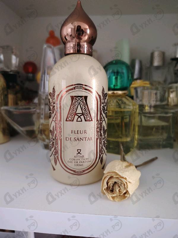 Отзывы Attar Collection Fleur De Santal