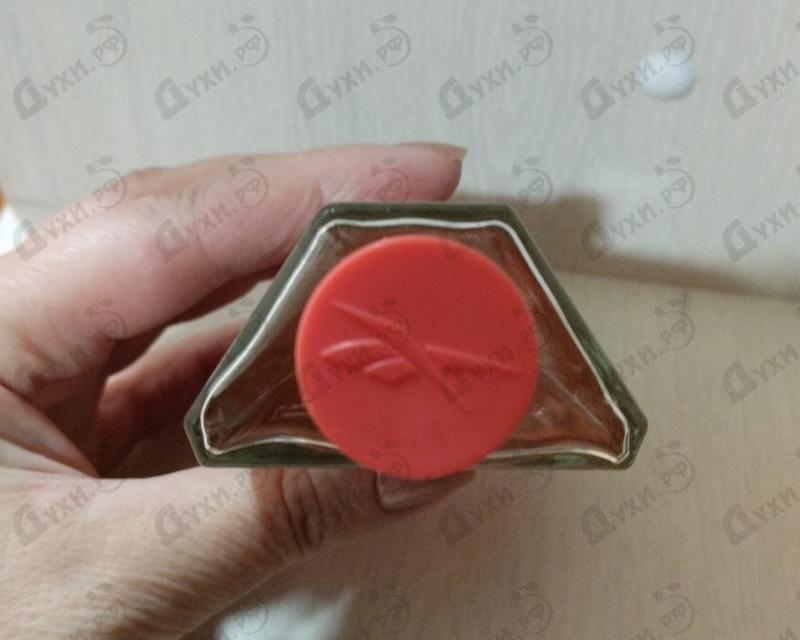 Отзыв Reebok Move Your Spirit