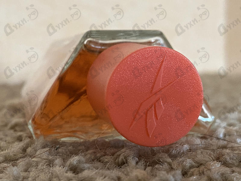 Купить Reebok Move Your Spirit