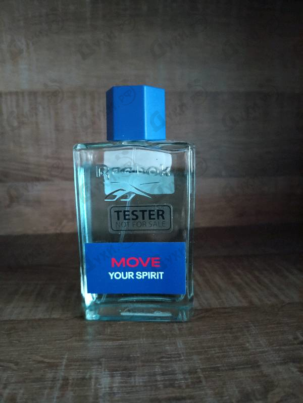 Отзывы Reebok Move Your Spirit