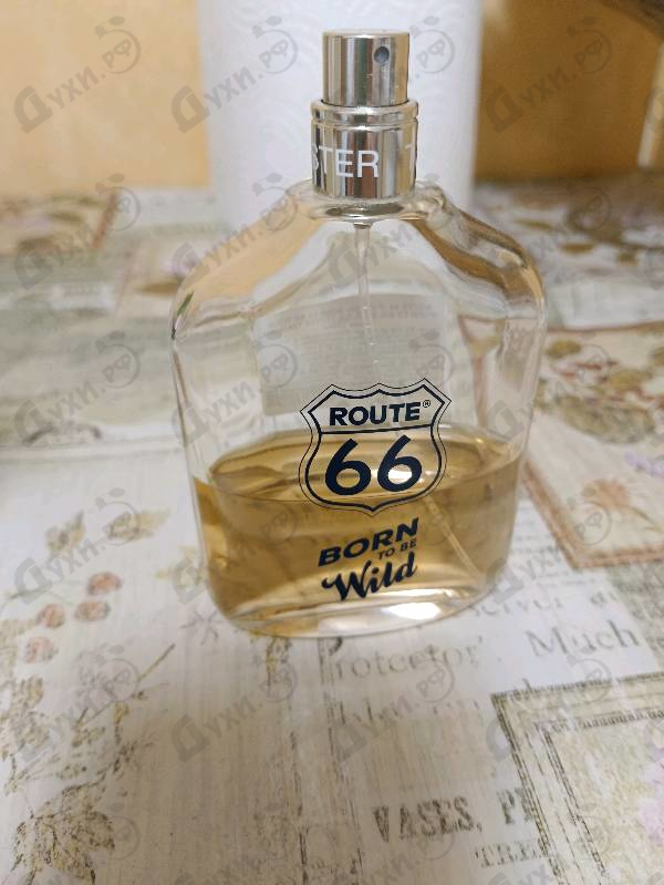 Купить Born To Be Wild от Route 66
