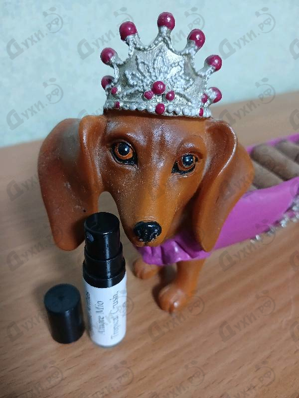 Парфюмерия Amore Mio Tropical Crush от Jeanne Arthes