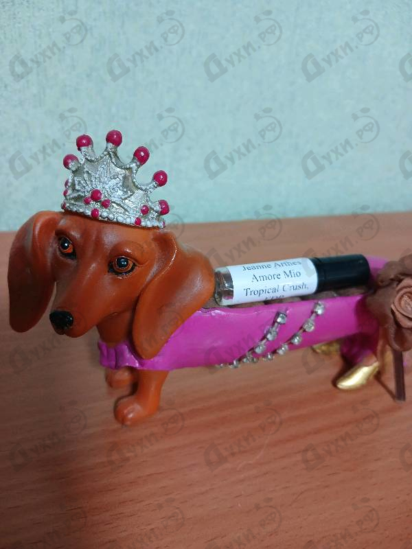 Купить Amore Mio Tropical Crush от Jeanne Arthes