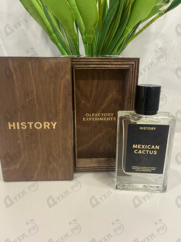 Купить Mexican Cactus от History Parfums