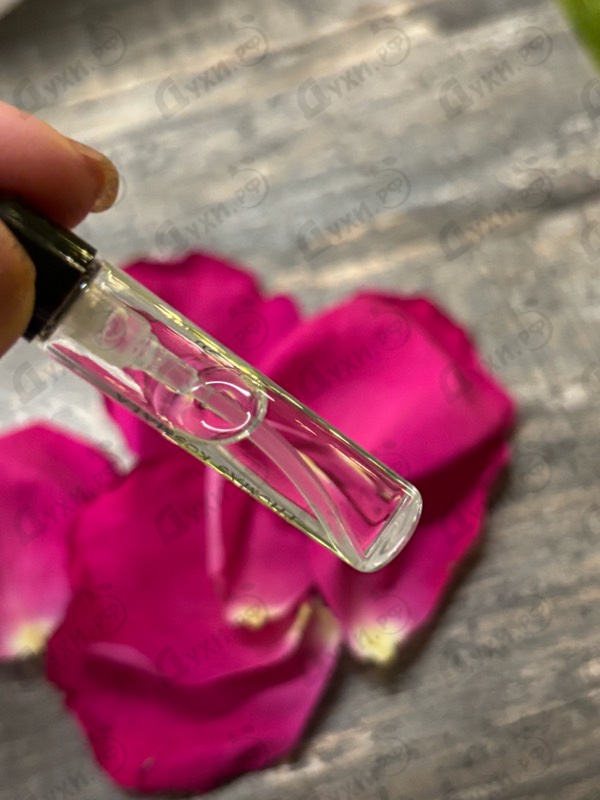 Отзывы Thomas Kosmala No 4 Neon