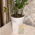 Парфюм Ella K Musc K