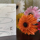 Парфюм Ella K Musc K