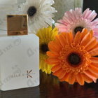 Отзыв Ella K Musc K