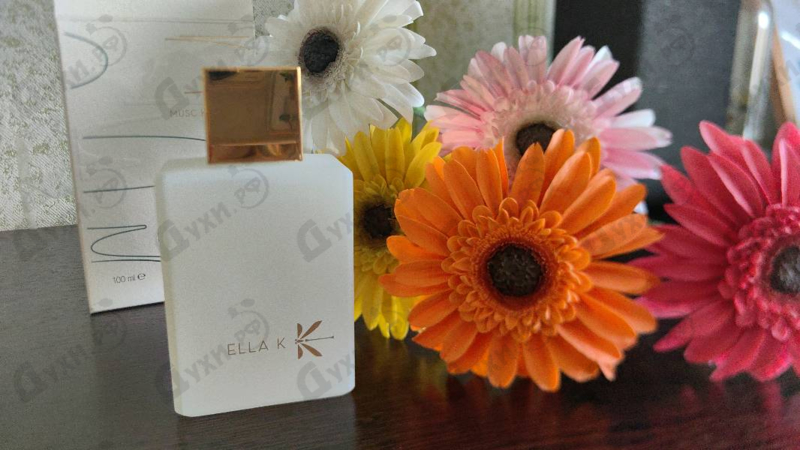 Купить Musc K от Ella K