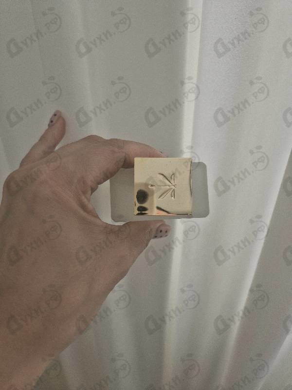 Парфюмерия Musc K от Ella K