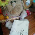 Отзыв Ella K Musc K