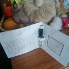 Отзыв Ella K Musc K