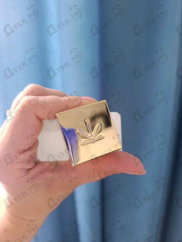 Купить Ella K Musc K