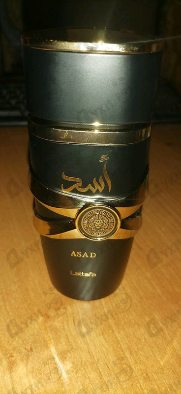 Отзывы Lattafa Perfumes Asad