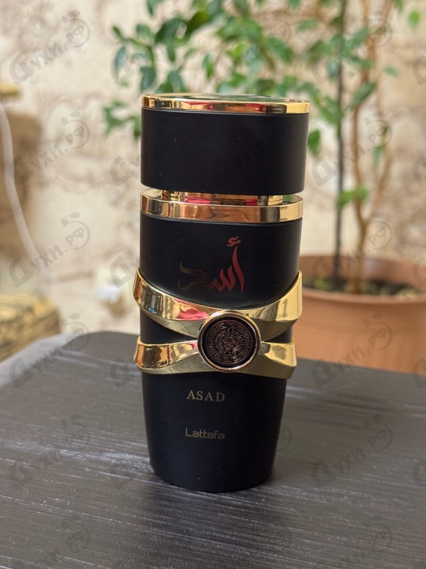 Купить Lattafa Perfumes Asad
