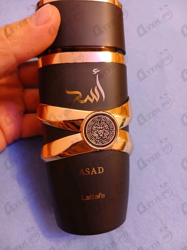 Отзыв Lattafa Perfumes Asad