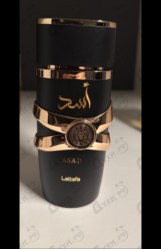 Купить Asad от Lattafa Perfumes