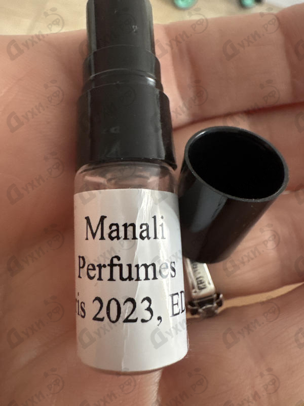 Купить Paris 2023 от Manali Perfumes