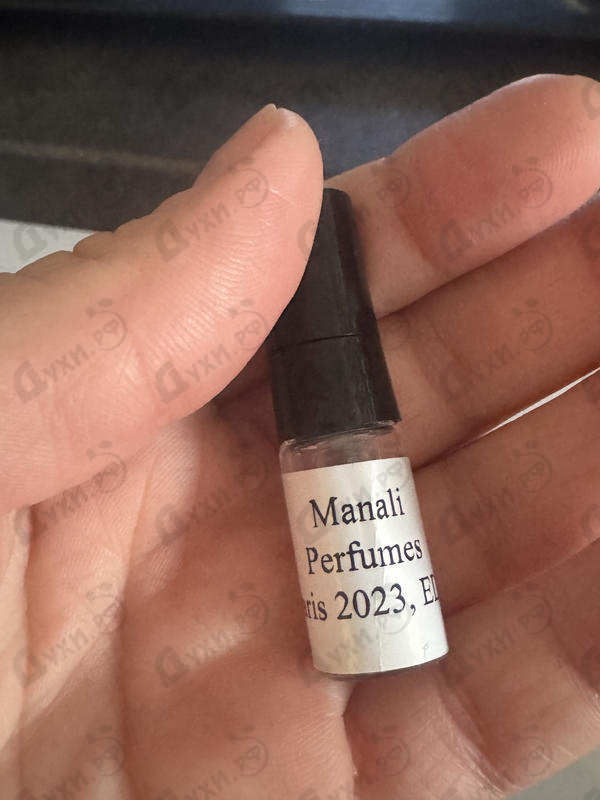 Купить Paris 2023 от Manali Perfumes