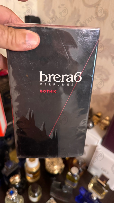 Отзыв Brera6 Perfumes Gothic
