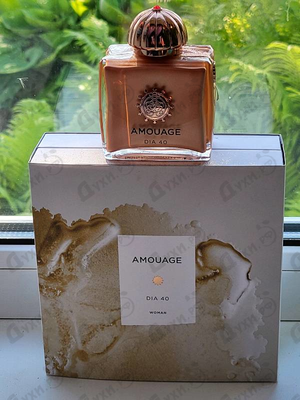 Купить Amouage Dia 40