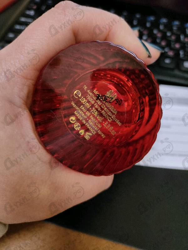 Купить Maissa Parfums L'Amour Eternel