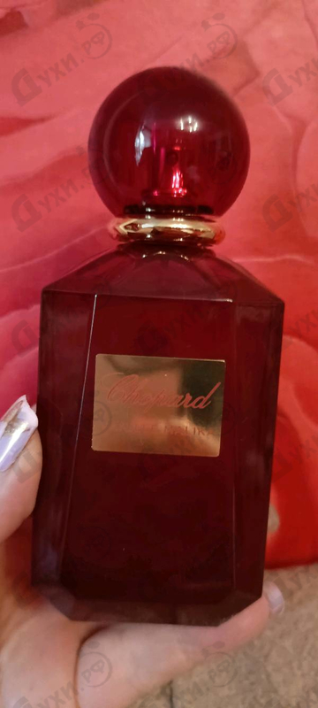 Купить Vanille Malika от Chopard