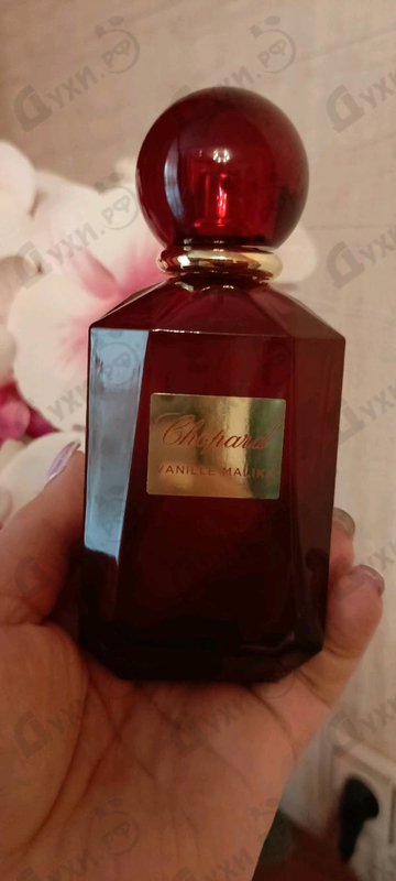 Купить Vanille Malika от Chopard