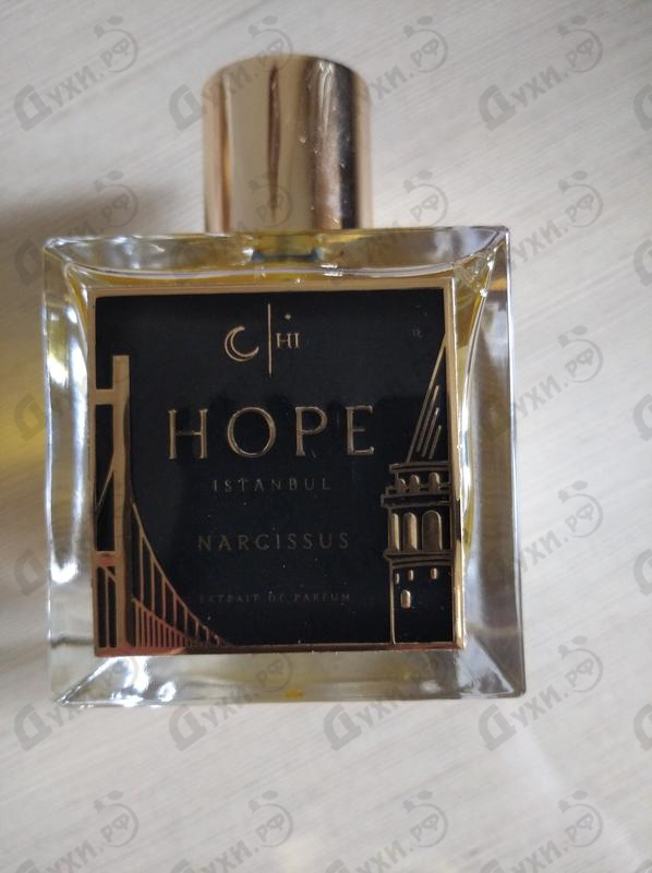 Купить Narcissus от Hope