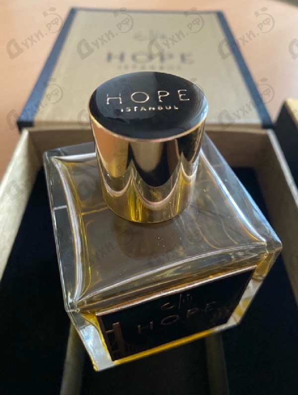 Купить Narcissus от Hope