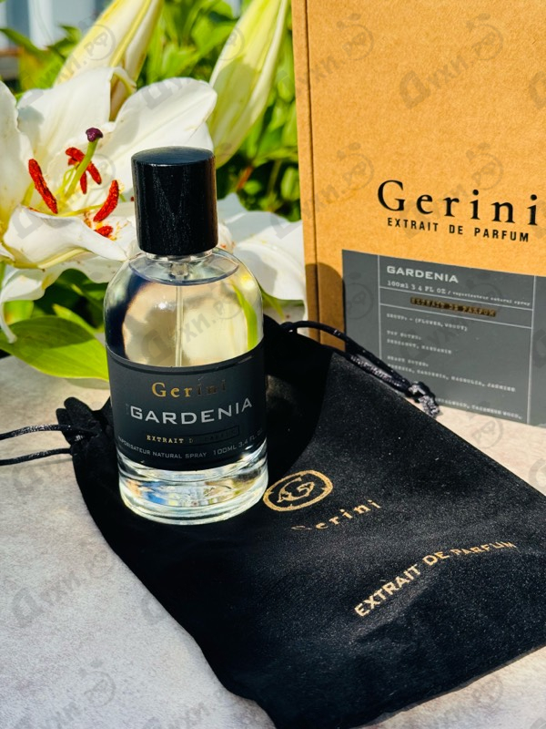 Купить Gardenia от Gerini
