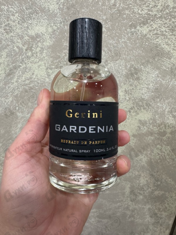 Купить Gardenia от Gerini