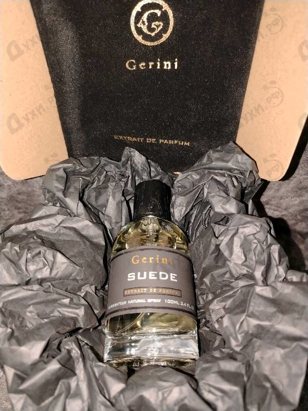 Отзыв Gerini Suede