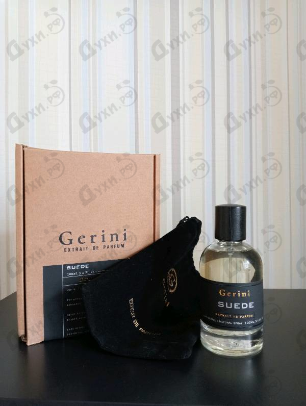 Отзыв Gerini Suede