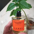 Отзыв Label Cannabis & Tobacco