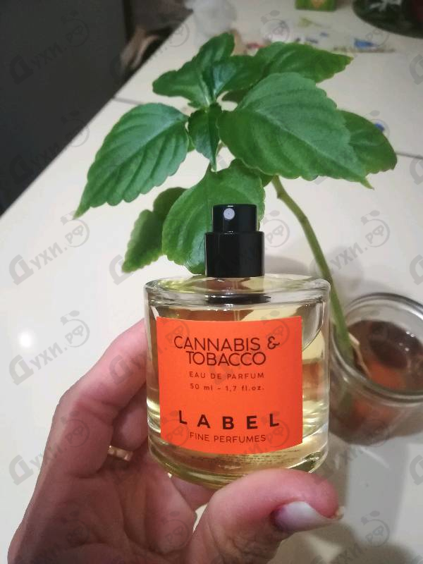 Купить Cannabis & Tobacco от Label