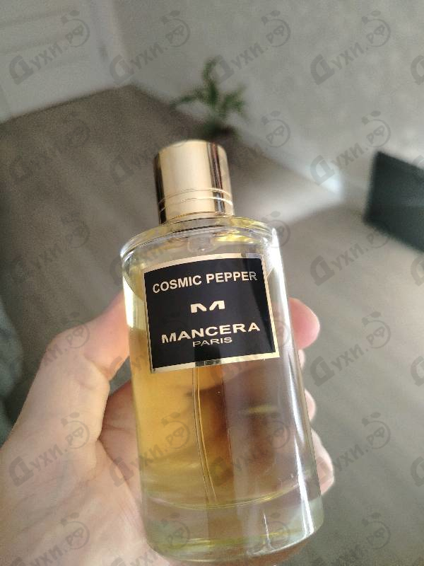 Купить Cosmic Pepper от Mancera