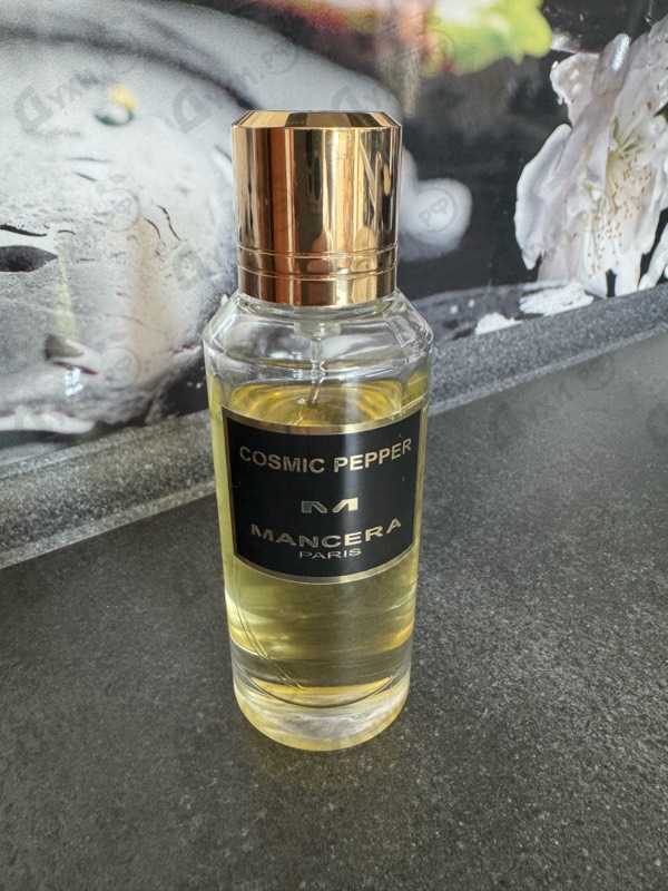 Купить Cosmic Pepper от Mancera