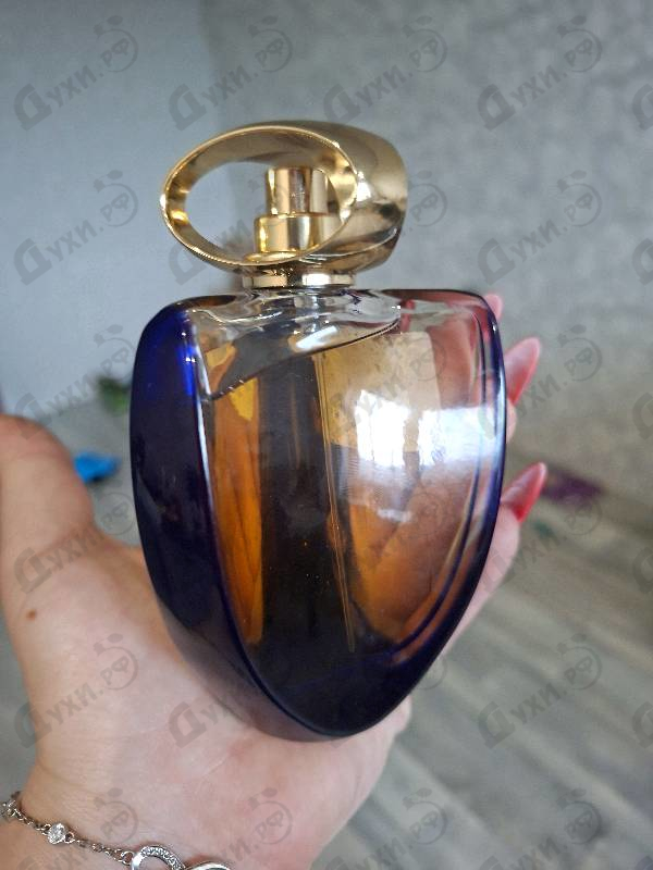 Купить Star от Patrik Mauboussin